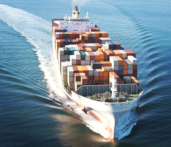 Martı Container - Denizyolu Taşımacılığı